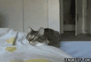 200.gif