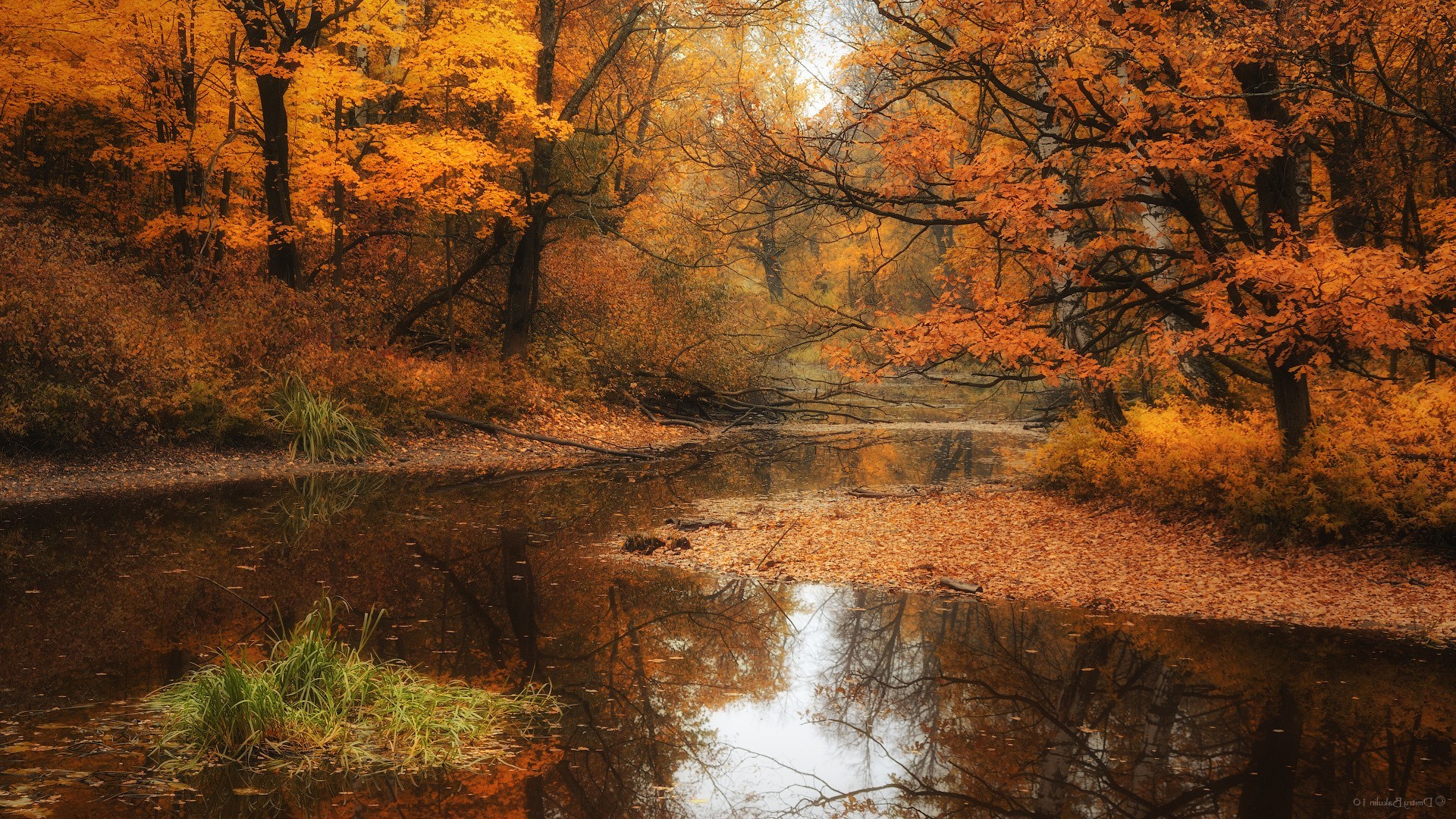 Autumn-Forest-River-3.jpg