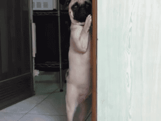 Svpxt6G.gif