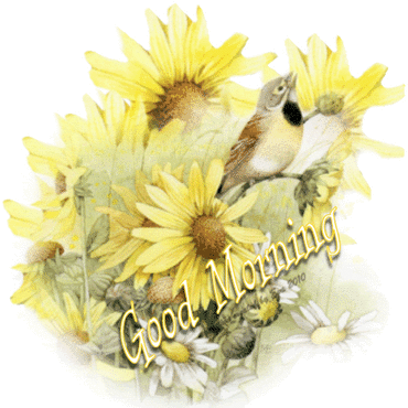 95ce563a34c8ccfacb5bf14045abf59d.gif