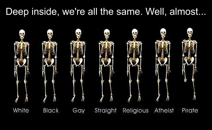 skeletons-all-the-same.jpg