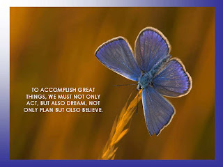 Beautiful+Quotes.jpg