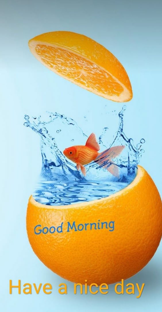 0c28d9db15d00433f5ad852c4ed35add.jpg
