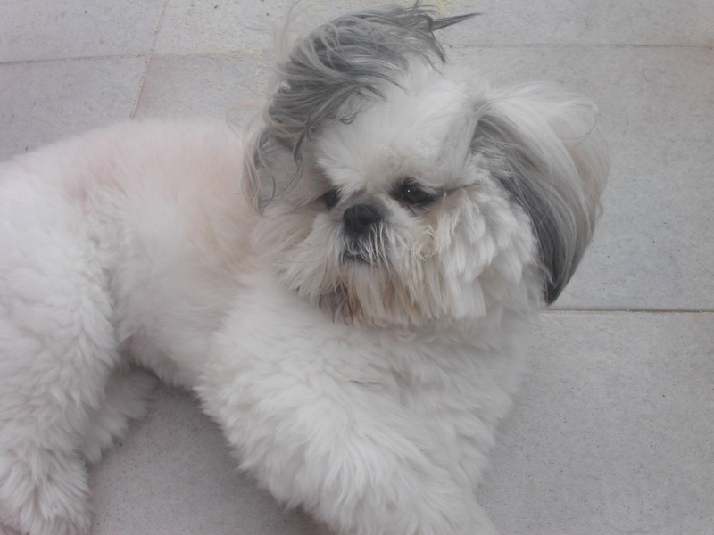 pict0012.jpg