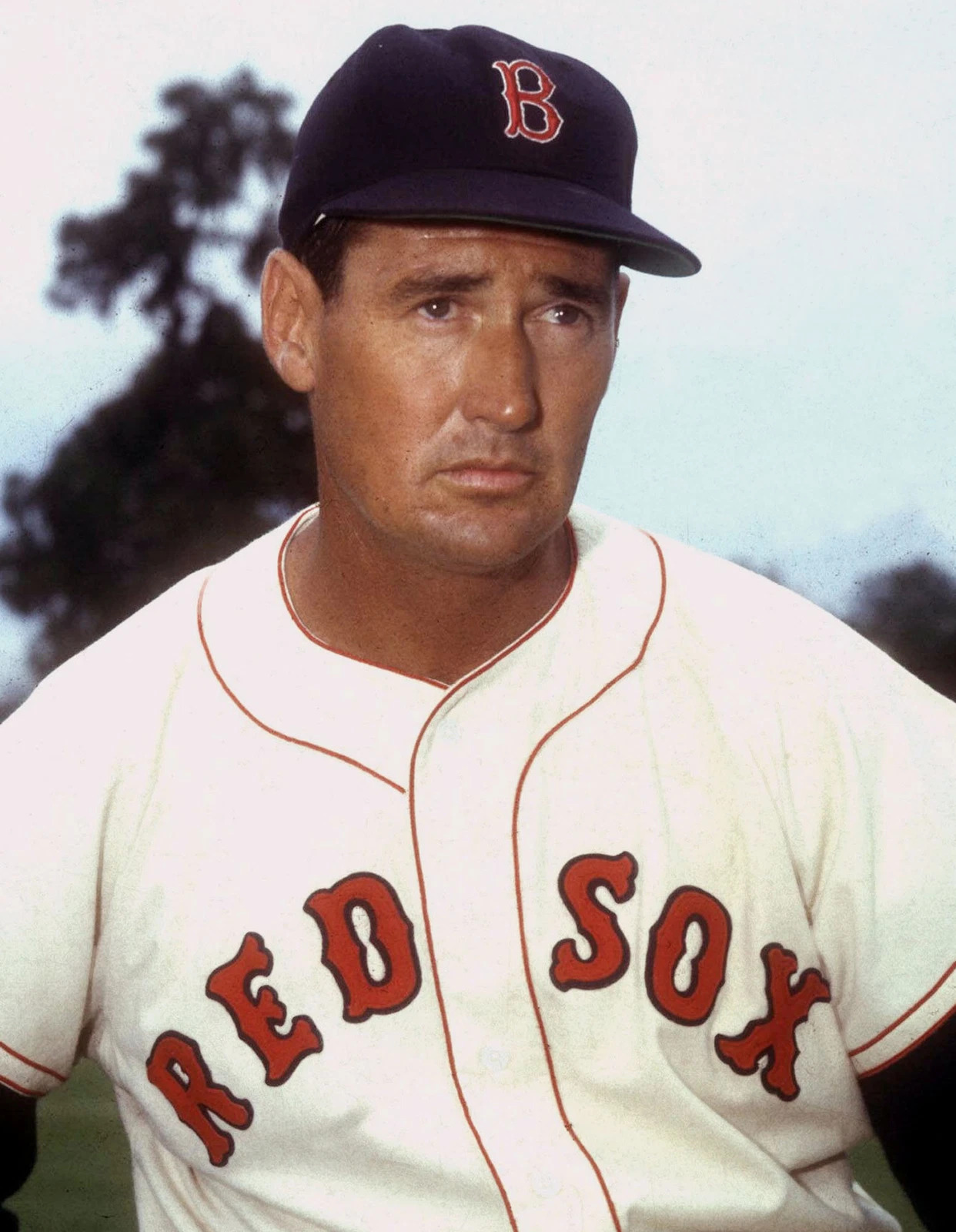 Ted_Williams.jpg