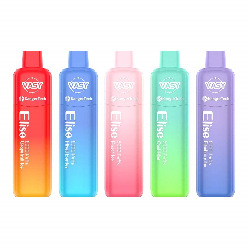 vasy-elise-5000.jpg