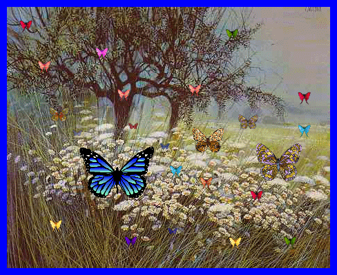 1ab574f57c1831111701bb359e6b8e82.gif