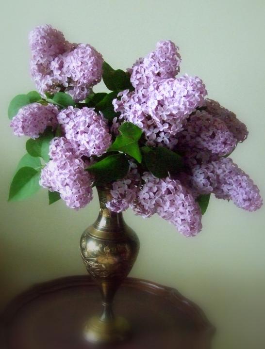 lilac_vase.jpg