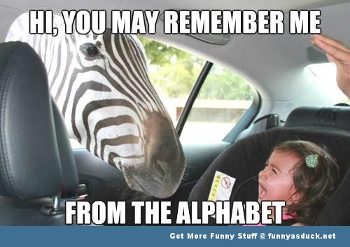 funny-zebra-in-car-kid-pic.jpg