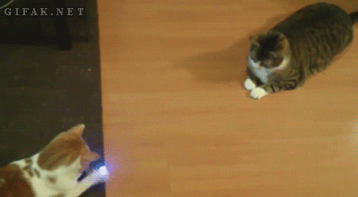 gifs_04.gif