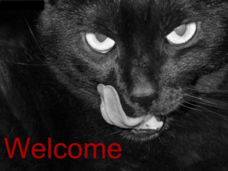 blackcatwelcome.png