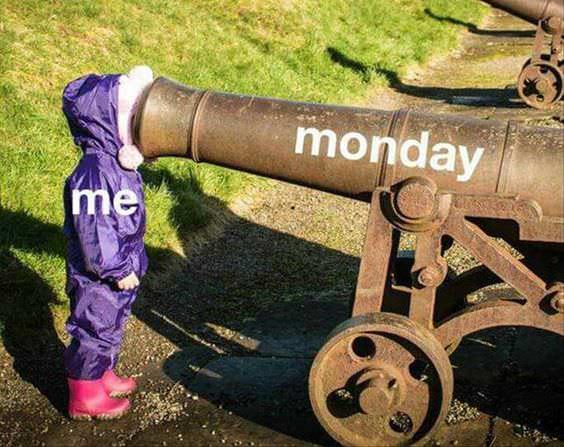 Lh3ZRVN.jpg