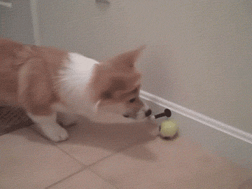 39ac0fe110ce719ce1a5acc432779786.gif