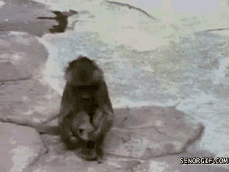 KoDMKrG.gif