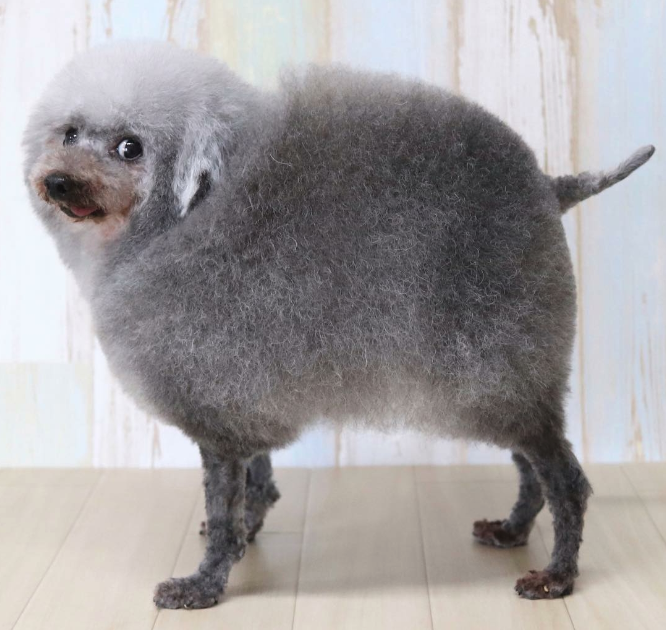 vChY9EU.png
