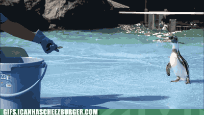 ReNQwG5IzUuU8a_25MRWog2.gif