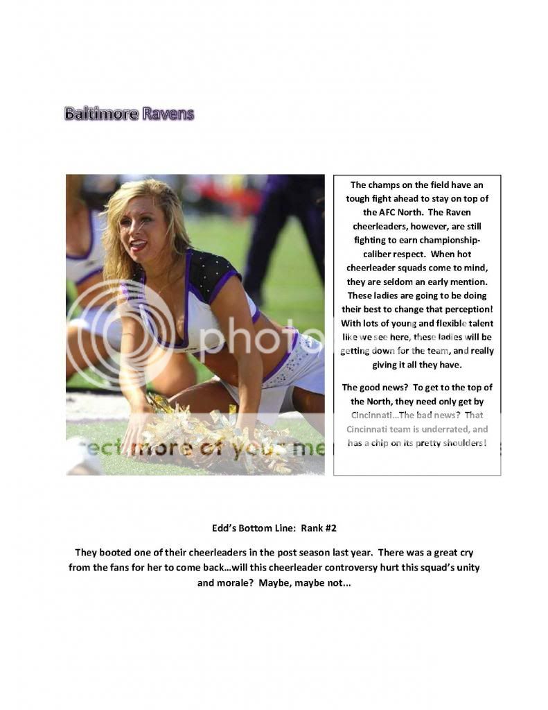 AFCNorth_Page_3_zpsfe40c712.jpg