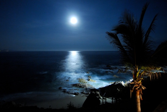bright_full_moon_beach_ocean_night_nature_hd-wallpaper-362739.jpg