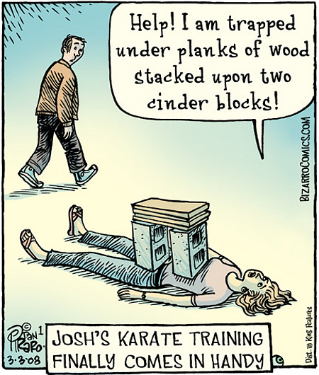 toon_karate-training.jpg