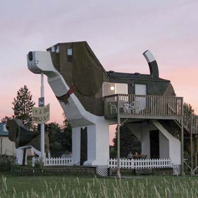 dog-bark-park-ext.jpg