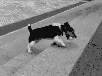 yo-humin-no-ones-indispensible