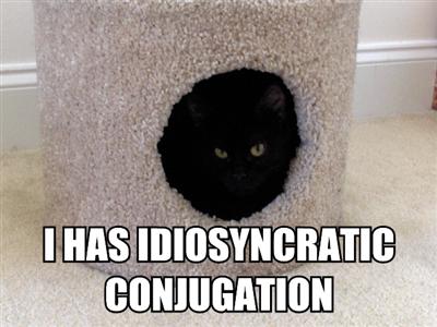 lolcats-i-has-idiosyncratic-conjugation.jpg