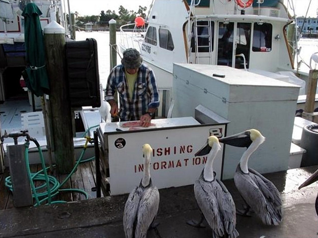 sign_fishing-info.jpg