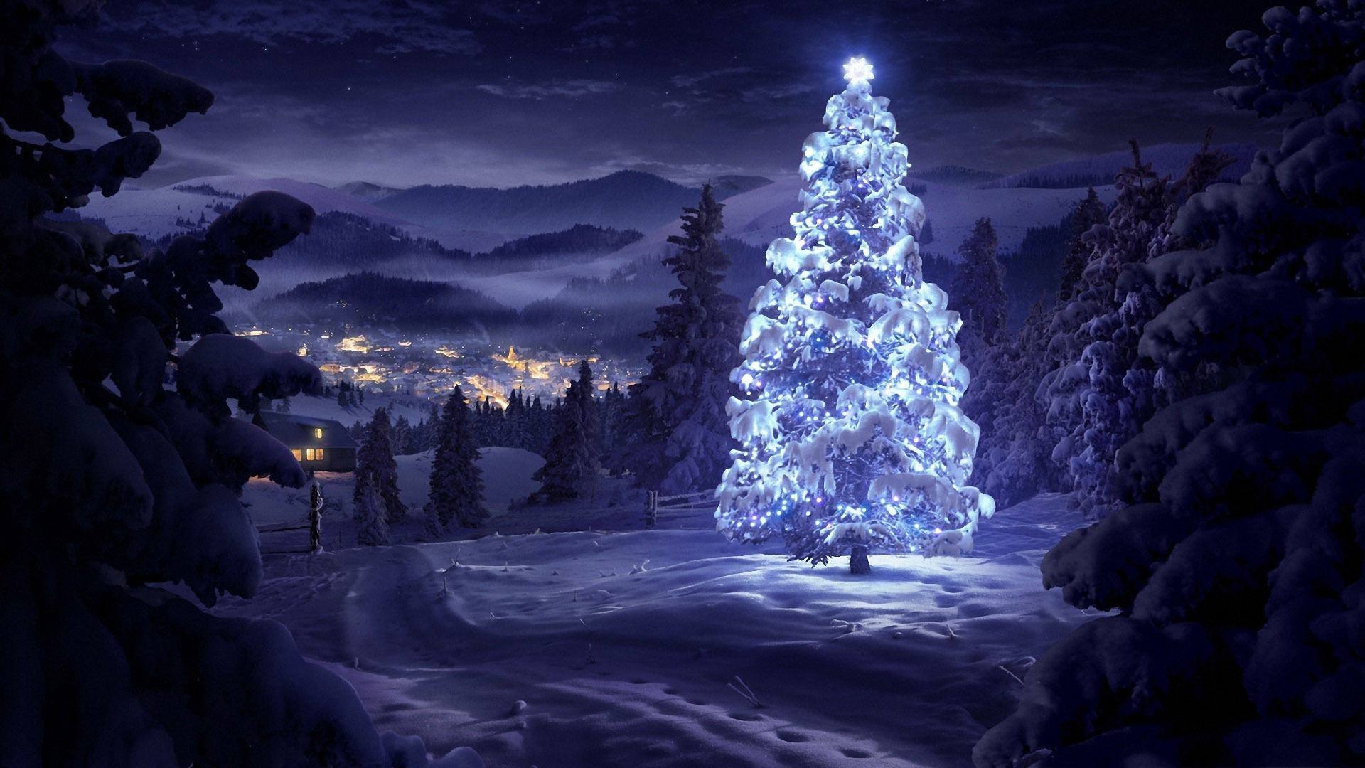 landscape-winter-christmas-tree-snow-cold.jpg