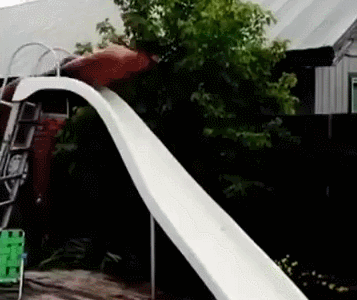 funny-gifs-slide.gif