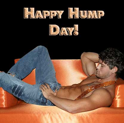 Happy+Hump+Day.jpg