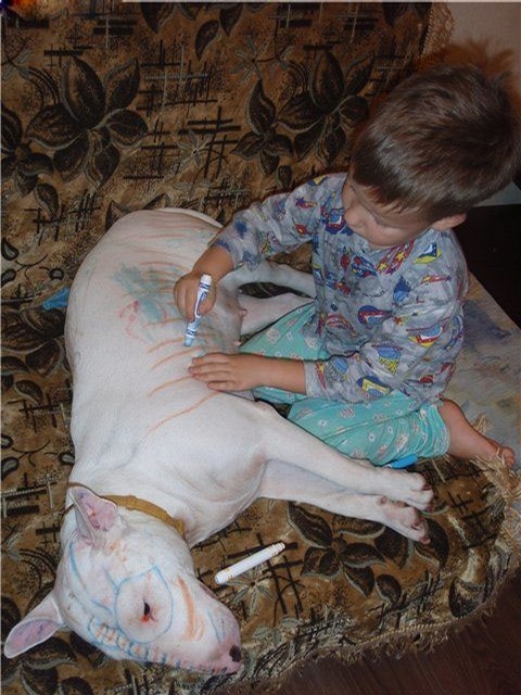 marker-on-dog.jpg