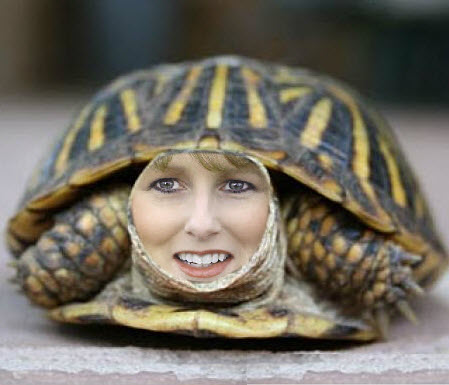 tiny-turtle-mama-person-shell.jpg
