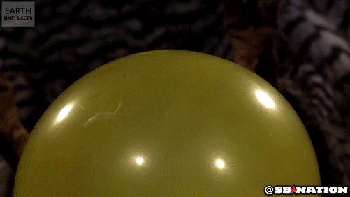 aV8fEir.gif