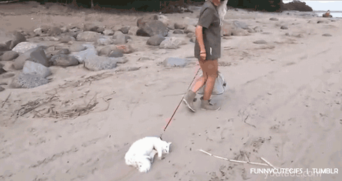 August-17-2012-15-11-24-tumblrm8wu97ZZdB1rxpi1io1500.gif