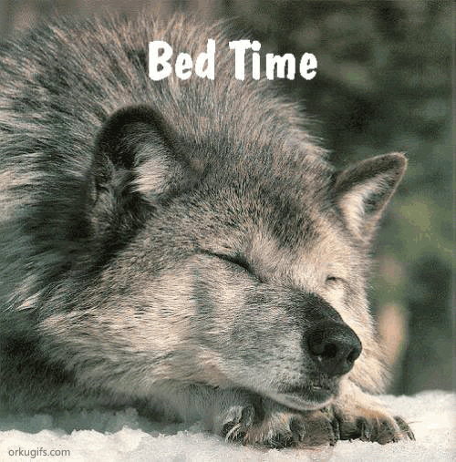 bed-time_508.gif