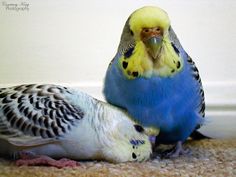 07d77bffb4cf4a38ed76c991ea331e86.jpg