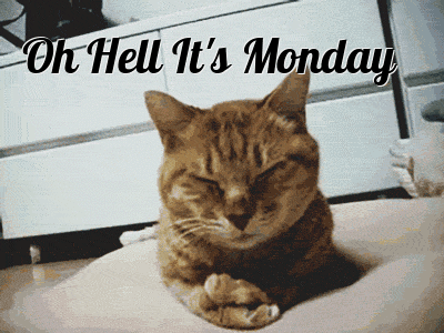 ohim-comes-before-tgif
