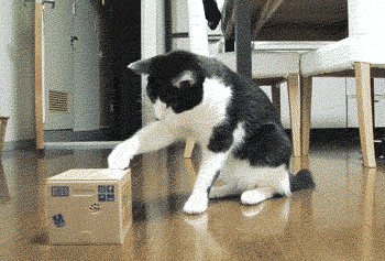 116f7848a7ea8e16c34bb5cc95042b28.gif