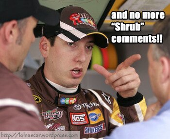shrub_display_image.jpg
