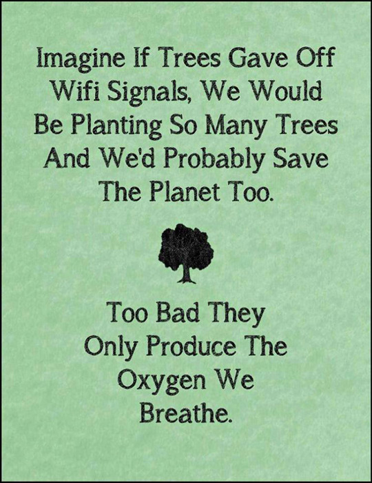 wifi-trees.jpg