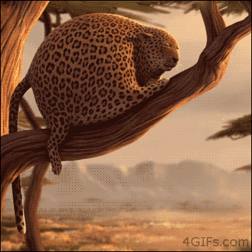 giphy.gif