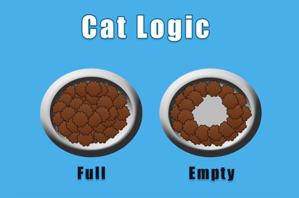 cat-logic-funny-5__605.jpg