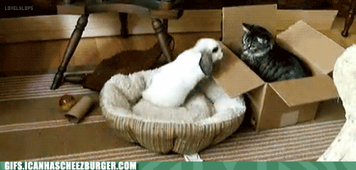whatchoo-doin