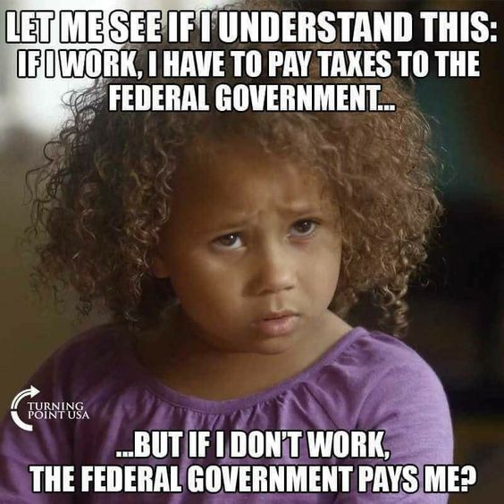 86ab4e264d7f7bd2fddb7dfdd5b3a355.jpg