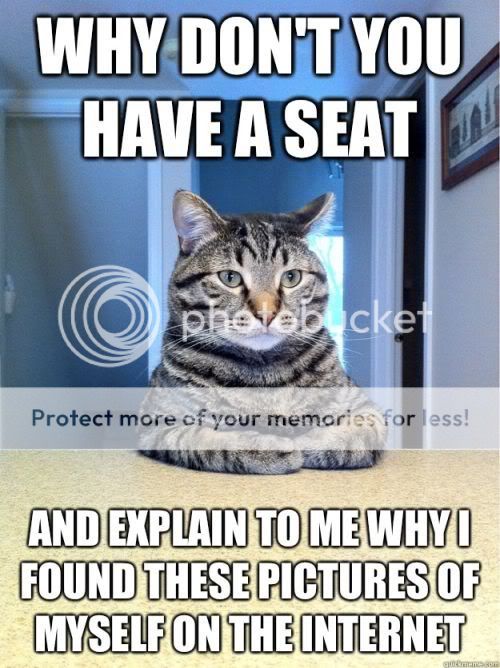 cat-saturday-01.jpg
