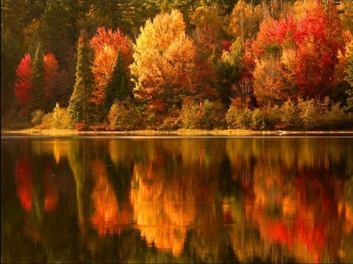 fall-scenery1.jpg