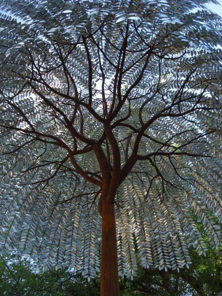 A-Corious-Tree.jpg