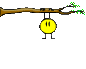 awZViTr.gif