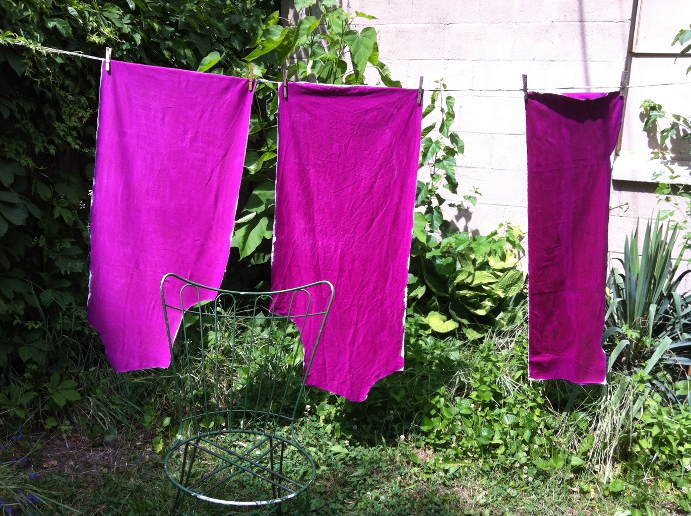 20120610-164833.jpg