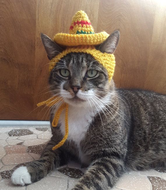 b97f0394031b9213dff57ed3433e78f7--knit-hat-knitted-hats.jpg